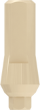 PEEK Abutment/Cylinder - Internal Hex - MoreDent