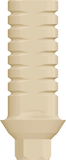 PEEK Abutment/Cylinder - Internal Hex - MoreDent