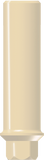 PEEK Abutment/Cylinder - Internal Hex - MoreDent