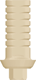 PEEK Abutment/Cylinder - Internal Hex - MoreDent