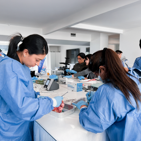 DIA | Basic Implantology Course