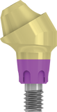 Multi-Unit Angulated Abutment - Conical - MoreDent