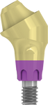 Multi-Unit Angulated Abutment - Conical - MoreDent