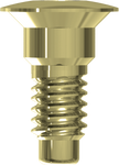 Cover Screw