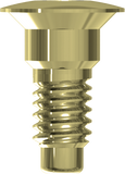 Cover Screw