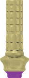 Direct Temporary Cylinder - Internal Hex - MoreDent