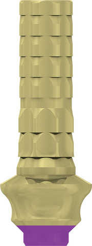 Direct Temporary Cylinder - Internal Hex - MoreDent