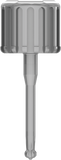 Key for Angled Screw Channel - MoreDent